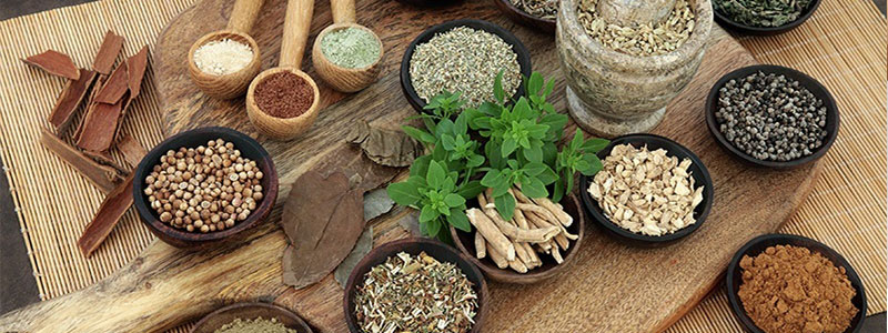 Ayurvedische Gewürze