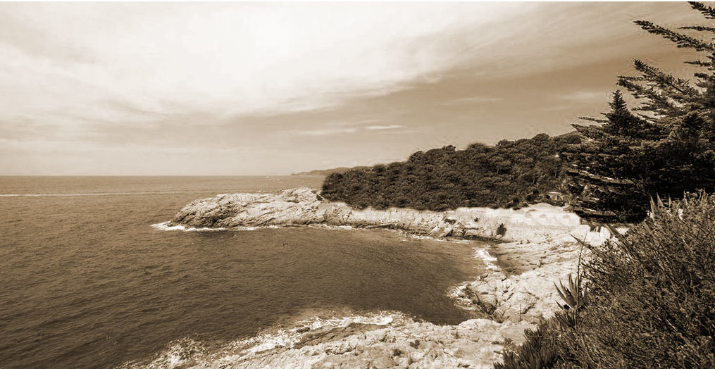 port-salvi-history-old