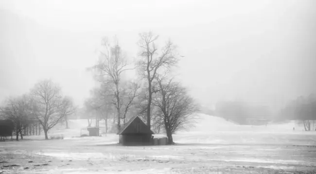 Winter